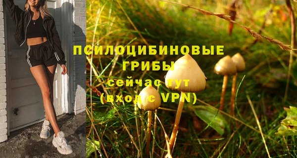 мефедрон Каменногорск