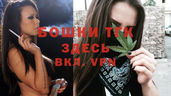 гидра Каменск-Шахтинский