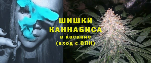 гидра Каменск-Шахтинский