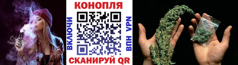 Каннабис гибрид Саратов